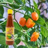 Salsa Huichol Habanera Hot Sauce (1 x 6.5 oz. Bottle)