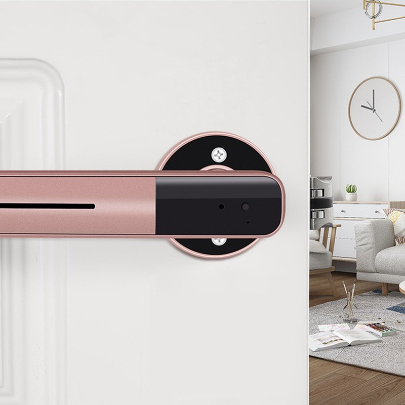 Indoor Smart Biometric Fingerprint Aluminium Alloy Security Electronic Door LockRight