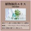 Scalp Care Specialty Store Shizuku [Moisturizing, Anti-Itch] Head Spa Shampoo