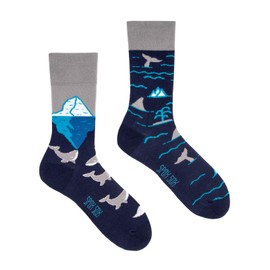 Spox Sox Casual Unisex Socks, Multi-Coloured, Colourful Socks for Free Spirits