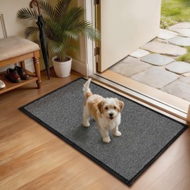 AREDO Door Mat Non Slip Indoor Entrance Mat, with Rubber Backing Door mats, Low-Profile Absorbent Washable Entryway Rug for Front Door, Kitchen, High Traffic Areas (Black, 17" * 30")