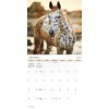 2025 Horses Wall Calendar