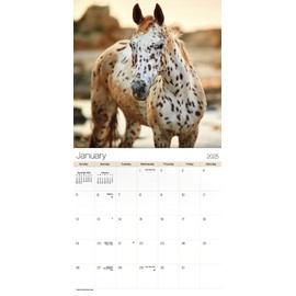 2025 Horses Wall Calendar