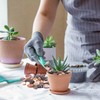 Pulovin 5 Pound Decorative Rocks for Planters, 1"- 1 1/2",
