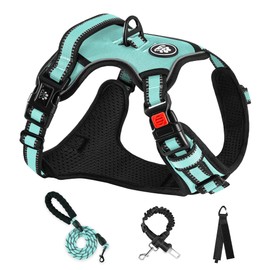 NESTROAD No Pull Dog Harness,Adjustable Oxford Dog Vest Harness with Leash,Reflective No-Choke Pet Harness with Easy Control Soft Handle for Small Dogs(Small,Turquoise)