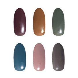 Prigel Gel Nail Seventees 6 Color Gel Set