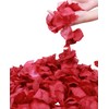 Simplicity Separated 1000 Pieces Dark Red Rose Petals Bulk Red