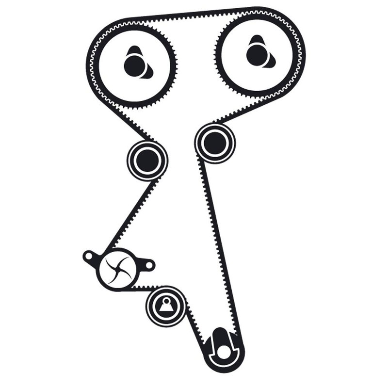 SKF VKMA 02186 Timing belt kit