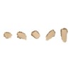 Recambio De Polvo Mineral Jane Iredale Purepressed Base 10 G