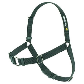 SENSE-ible No-Pull Dog Harness (Black, Extra Small) by Softouch