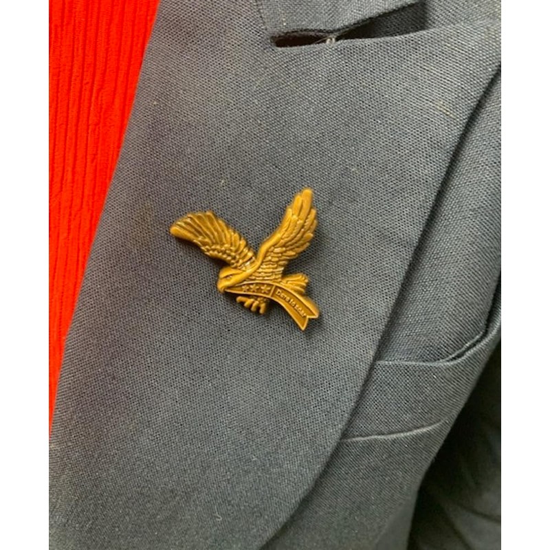 Aquinas Eagle – Scout Lapel Pin – “Dare to Soar”