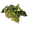 Lime Leaves (Kiffir) Thai Dried, Free to UK (5g)