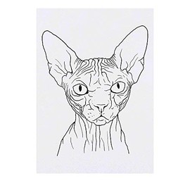 'Sphynx Cat' Temporary Tattoo - Water Resistant, Skin-Safe, Non-Toxic Transfer (TO00039074)