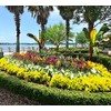 Nelson Plant Food - NutriStar Palm Food - 25 lb.