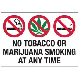 unbrandeded No Smoking sticker vinyl decal business window door car store bar shop vehicle