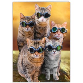 CardFool - Funny Cat Birthday Card for men, women - hilarious greeting card for a bright candle celebration