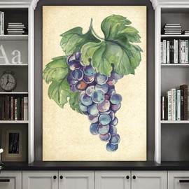 SIGNWIN Canvas Wall Art Purple Black Grapes with Branches and Leaves Fruit Plants Illustrations Impressionism Vintage Relax/Calm for Living Room, Bedroom, Office - 16x24 inches