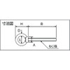 TRUSCO TLTF-6W Long Eye Bolts with Stainless Steel Brim, Forged