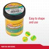 Berkley Powerbait Trout Bait Fishing Soft Bait