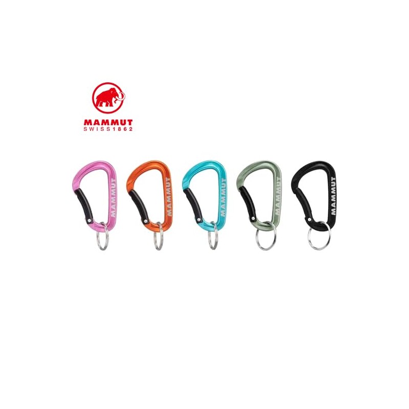 Mammut Mammut Mini Carabiner Classic Keylock S Size 6 cm