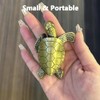 Turtle Torch Lighter Soft Flame Lighters, Adjustable Refillable Butane Cool