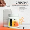 Creatina monohidratada y micronizada Primetech 60 Servicios de 5 gr