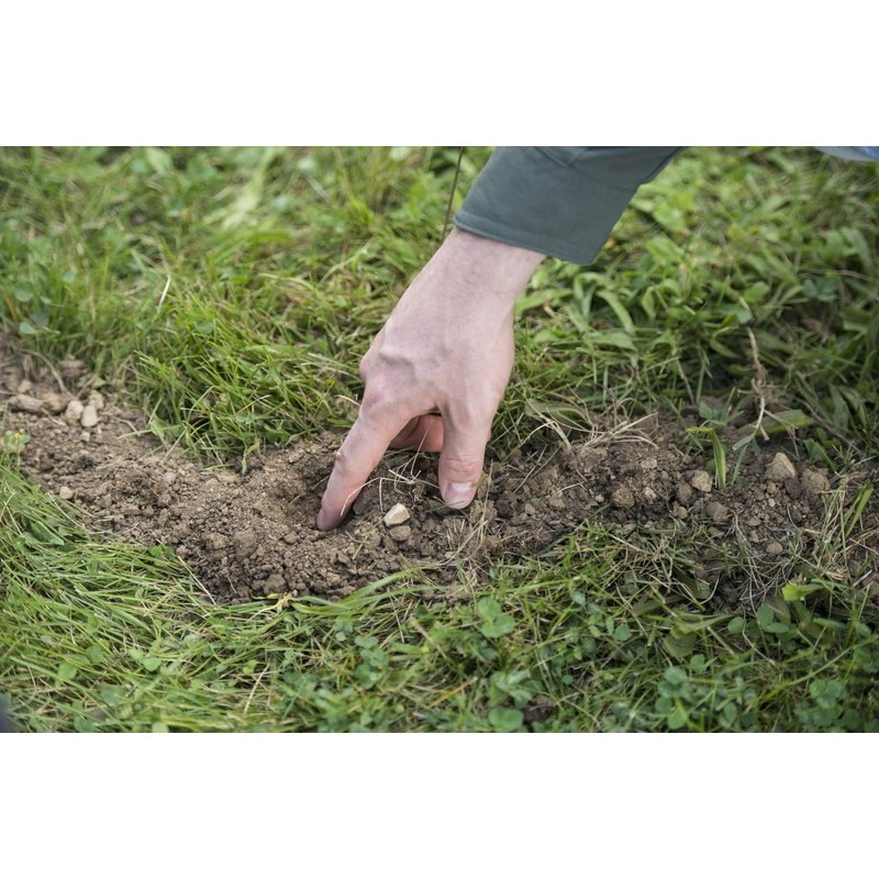 Motomco LTD Tomcat Mole Killer - 39966