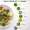 Lyko Gourmet Herb Seed Pod Kit for AeroGarden, iDoo, Ahopegarden,