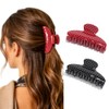Campsis Pinzas acrílicas para el cabello con forma de garra,