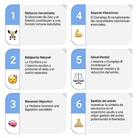 Sapientia Flow - Promueve PRODUCTIVIDAD y CLARIDAD MENTAL Nootrópico 100% natural, Gluconato de Zinc, Pasiflora, L-teanina, Verbena, Selenio, Complejo