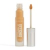 The Body Shop VITAMIN C Concealer 8ml (Medium 2W)
