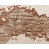 Wall Rogues WR50508 Distressed Brick Wall Mural, Brown
