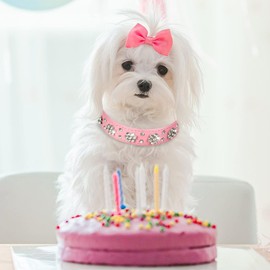 Bling Diamond Dog Collars For Small Dog, Sparkling Leather Pet Collar Girl Female Rhinestone Crystal Glitter for XSmall Small Medium Dogs (Red,S)