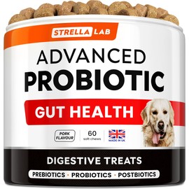 STRELLALAB Dog Probiotics for Gut Health & Digestive Enzymes Fiber Supplement - Anti Diarrhea, Constipation, Upset Stomach, Gas Relief - Digestion Treats Chews - 60 Count (Pack of 1) Beef