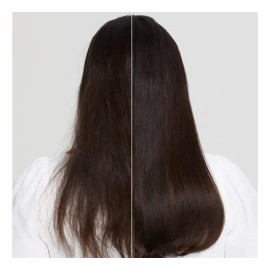 Paul Mitchell Clean Beauty Hydrate Acondicionador