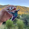 Generic Hummingbird Keychain - Lobster Clasp | 2.5" Size