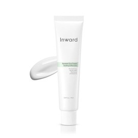 Inword 인워드 발효 시카 크림 70ml Inward Fermented Cica Cream 70ml
