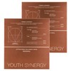 Mediheal Youth Synergy Lifting Mask, 2 packs, 5 packs / 메디힐 유스 시너지 리프팅 마스크, 2개, 5개입
