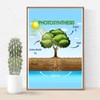 FHJ Photosynthesis Process Poster - Science Biology Anatomy Educational -