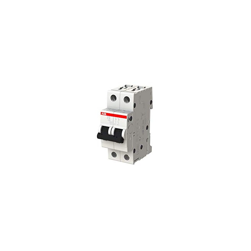 ABB S202-C20 Miniature Circuit Breaker, 2 Pole, Type C, 6/10kA
