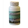 Nature Made WILD YAM HERB-menopausa