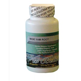 Nature Made WILD YAM HERB-menopausa