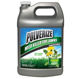 Pulverize Weed Killer for Lawns Concentrate