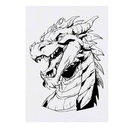 'Dragon Portrait' Temporary Tattoo - Water Resistant, Skin-Safe, Non-Toxic Transfer (TO00085805)