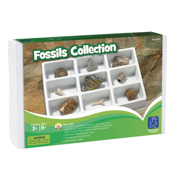 Learning Resources- Collezione di fossili, Colore, Medium, 5204