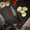 Dalstrong Paring Knife - 4 inch - Scorpion Series -