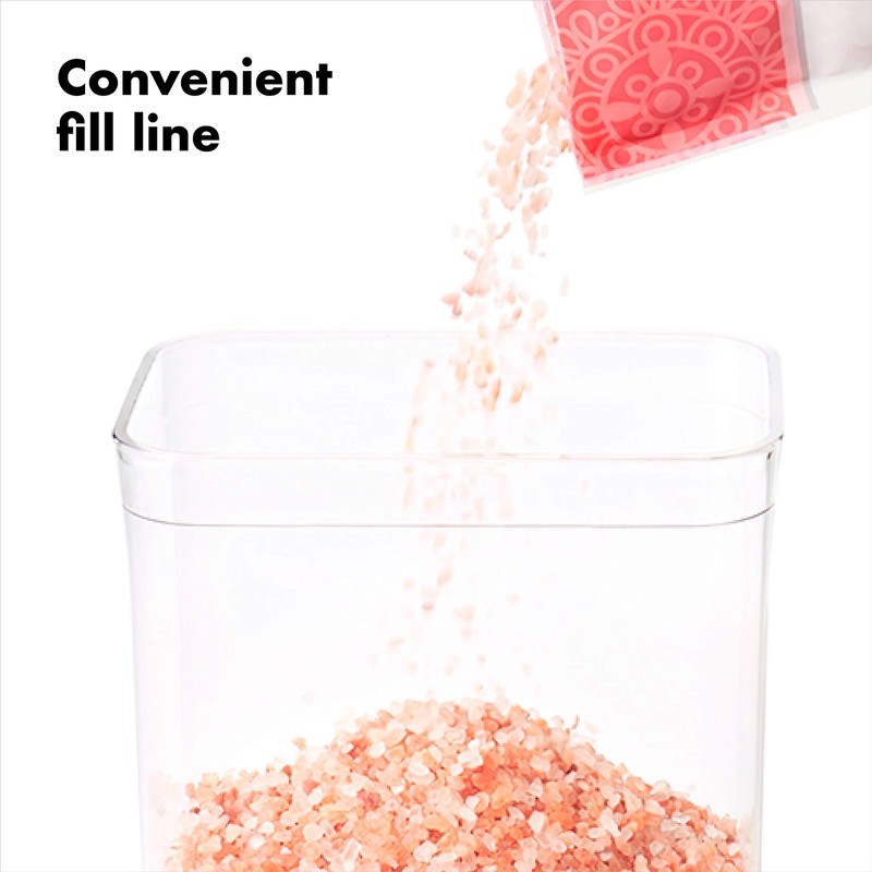 OXO Oxo Plastic Storage Container, Airtight, 16.9 fl oz (0.5