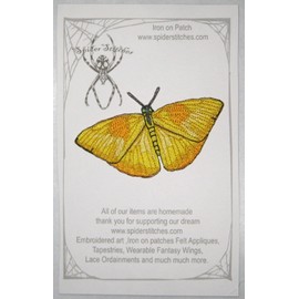 Parche de mariposa de azufre con bandas amarillas Papilio astyalus