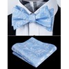 Alizeal Mens Self Tie Bow Ties and Pocket Square Paisley