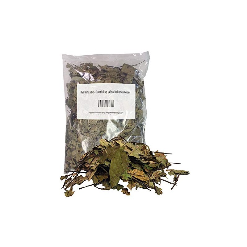 Black Walnut Leaves 4 Ounces-Bulk Bag-1/4 Pound-Juglans nigra-Mexican